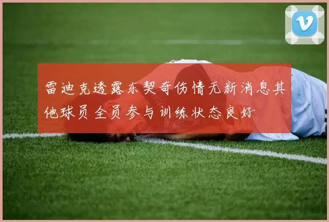 雷迪克透露东契奇伤情无新消息其他球员全员参与训练状态良好